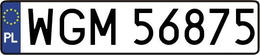 WGM56875