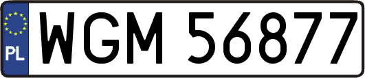 WGM56877
