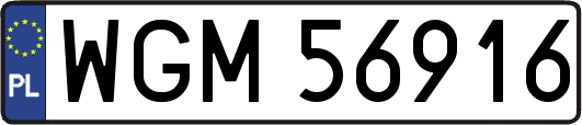 WGM56916