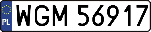 WGM56917