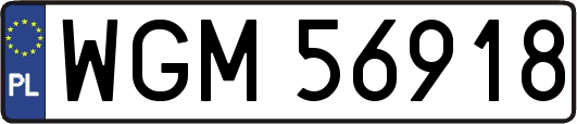 WGM56918