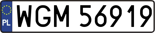 WGM56919