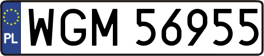 WGM56955