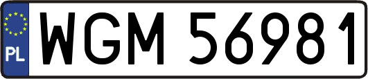 WGM56981