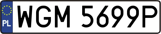 WGM5699P