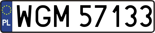 WGM57133