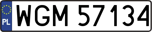 WGM57134