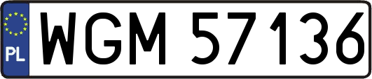 WGM57136