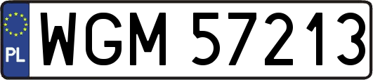 WGM57213