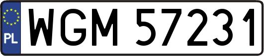 WGM57231