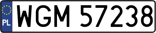 WGM57238