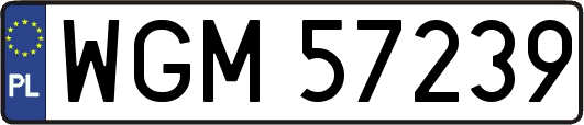 WGM57239