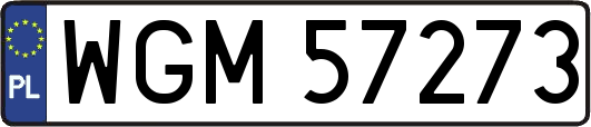 WGM57273