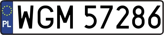 WGM57286