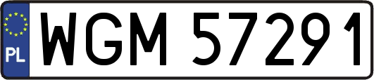 WGM57291