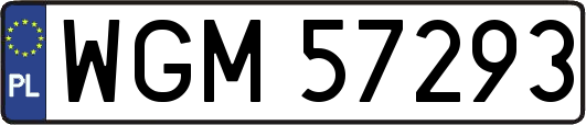 WGM57293