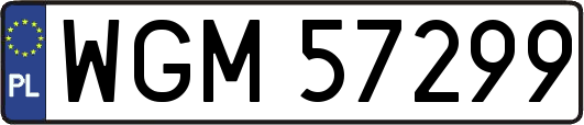 WGM57299