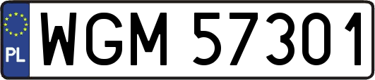 WGM57301