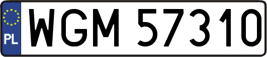 WGM57310