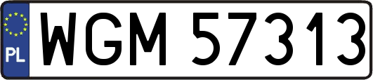 WGM57313