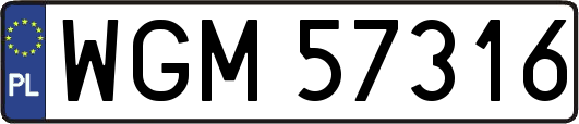 WGM57316