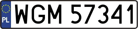 WGM57341