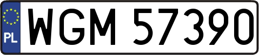 WGM57390
