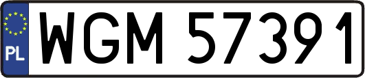 WGM57391