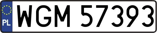WGM57393