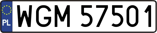 WGM57501