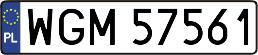 WGM57561
