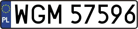 WGM57596