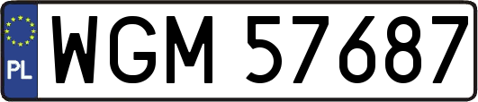 WGM57687