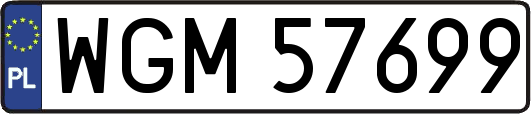 WGM57699