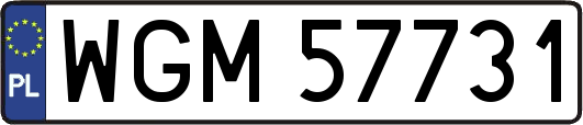WGM57731