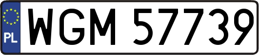 WGM57739