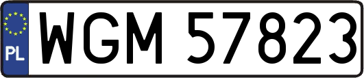 WGM57823