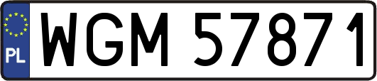 WGM57871