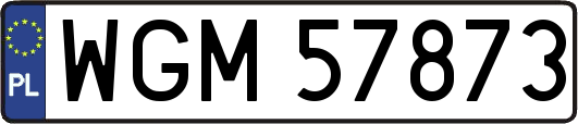 WGM57873