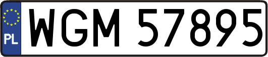 WGM57895