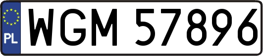 WGM57896