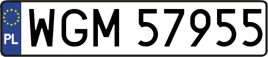 WGM57955