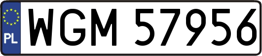 WGM57956