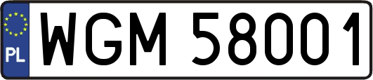 WGM58001