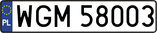 WGM58003