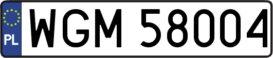 WGM58004