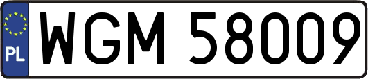 WGM58009