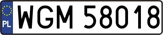 WGM58018