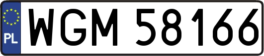WGM58166