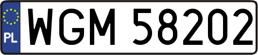 WGM58202